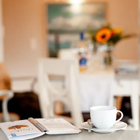 Sylter Seestern Haus Deichblick Holiday home *